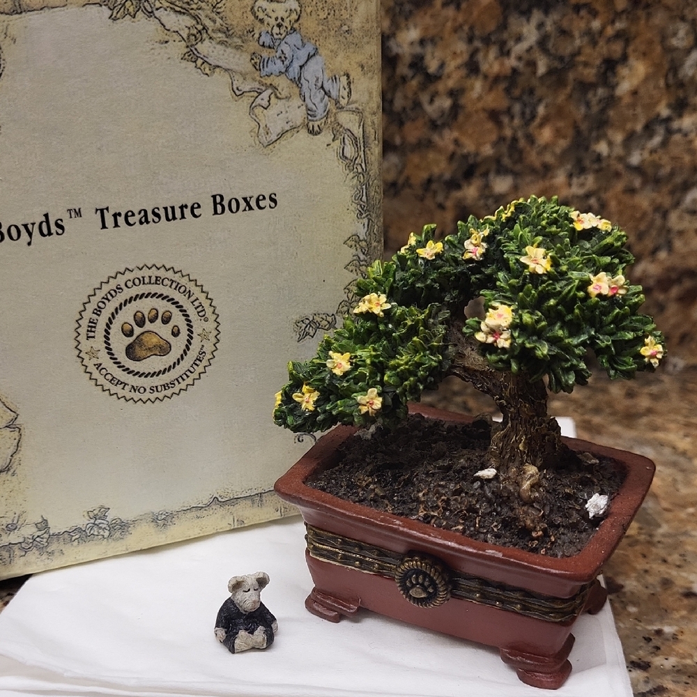 Uncle Bean's Treasure Box - Mr. Chen's Bonsai Tree
